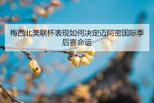 mei-xi-bei-mei-lian-bei-biao-xian-ru-he-jue-ding-mai-a-mi-guo-ji-ji-hou-sai-ming-yun-2-168.jpg