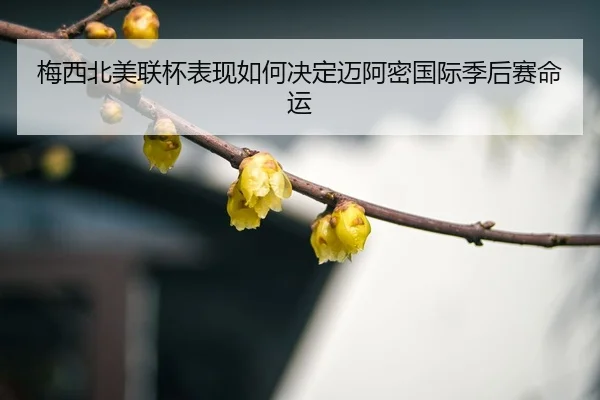 mei-xi-bei-mei-lian-bei-biao-xian-ru-he-jue-ding-mai-a-mi-guo-ji-ji-hou-sai-ming-yun-3-709.jpg