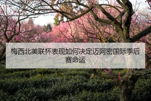 mei-xi-bei-mei-lian-bei-biao-xian-ru-he-jue-ding-mai-a-mi-guo-ji-ji-hou-sai-ming-yun-1-981.jpg