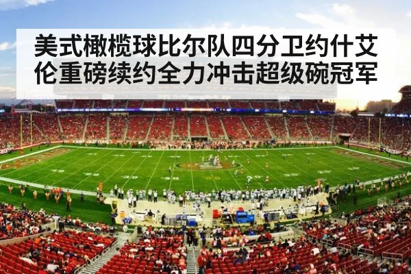 NFL stadium crowd